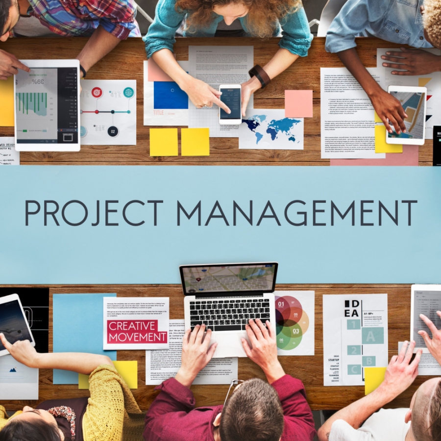 Why You Need A Project Manager On Your Team